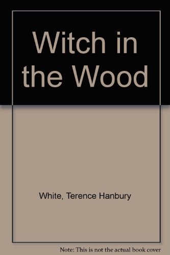 The Witch In The Wood